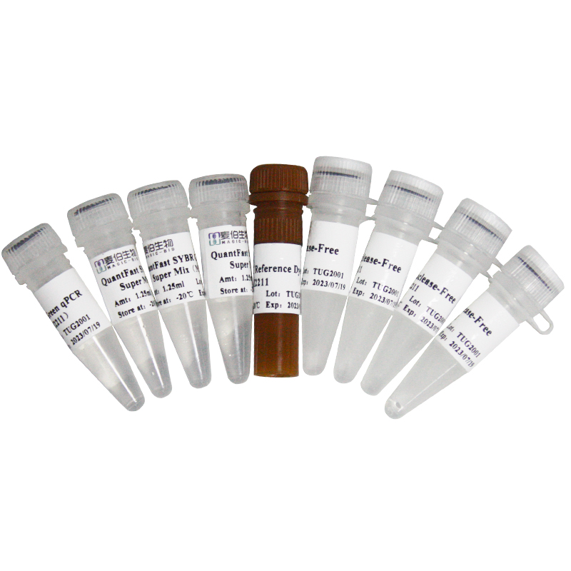 M221 QuantFast SYBR Green qPCR SuperMix