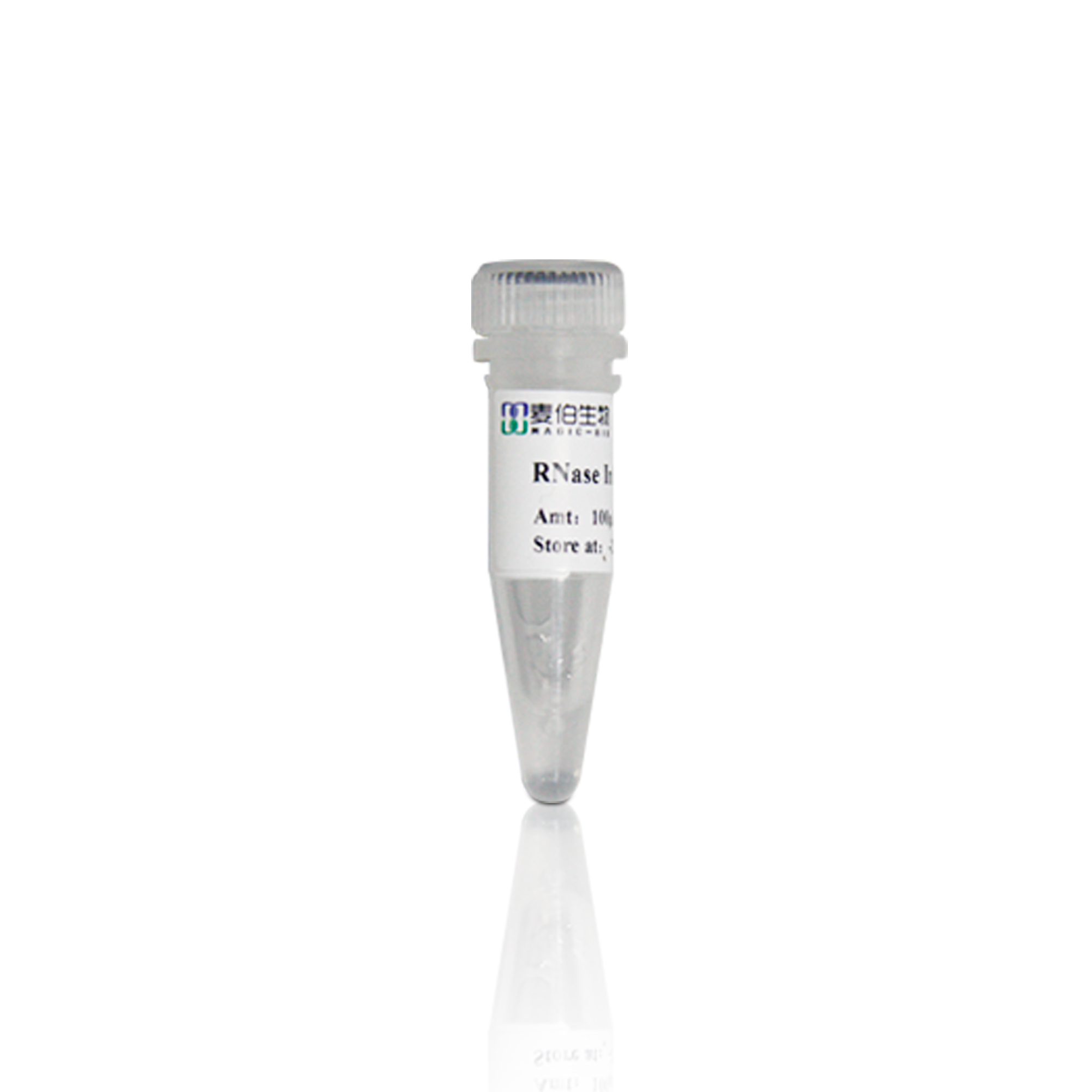M632 RNase Inhibitor
